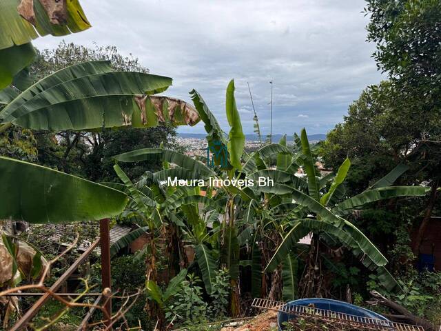 #TE0034 - Área para Venda em Belo Horizonte - MG