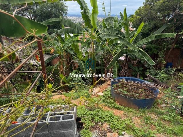 #TE0034 - Área para Venda em Belo Horizonte - MG