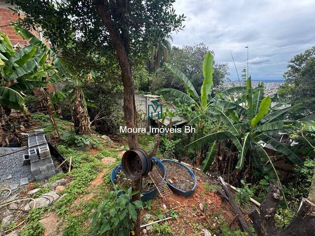 #TE0034 - Área para Venda em Belo Horizonte - MG